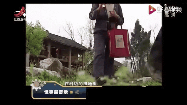 陕西夜狸猫事件详细经，陕西夜狸猫图片  第2张