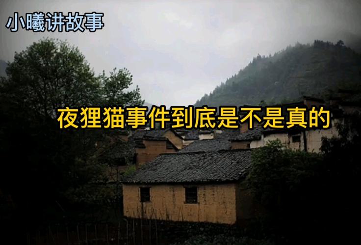 陕西夜狸猫事件详细经，陕西夜狸猫图片  第4张