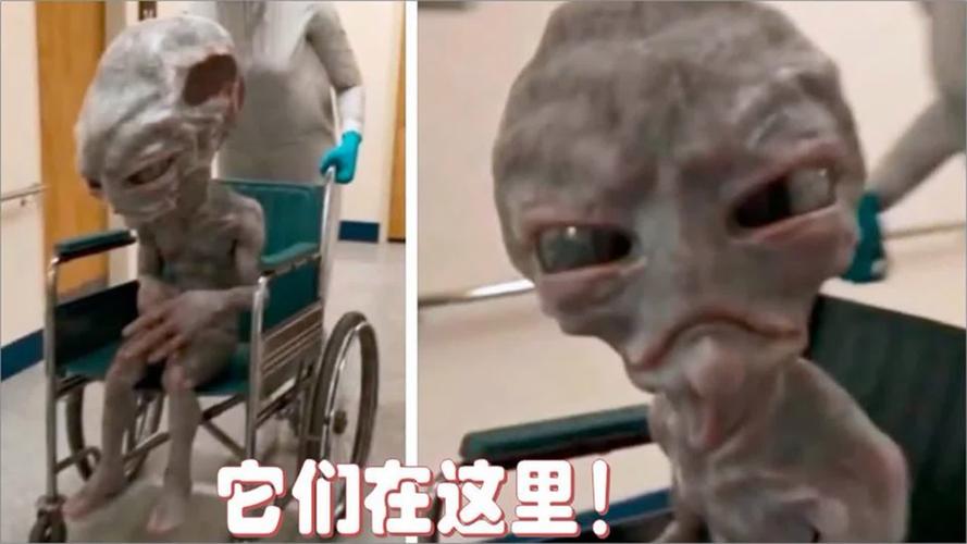 宇宙外星人真实图片？宇宙 外星？  第6张