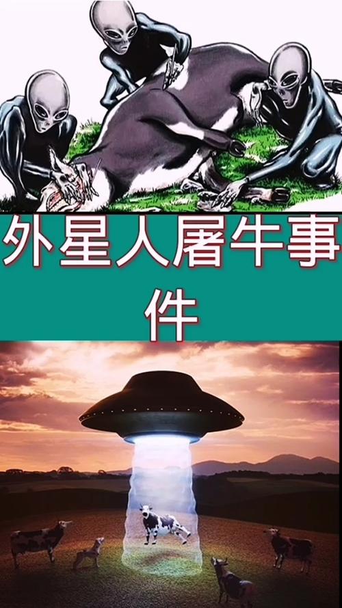 外星人屠牛事件视频？外星人屠羊事件？  第1张