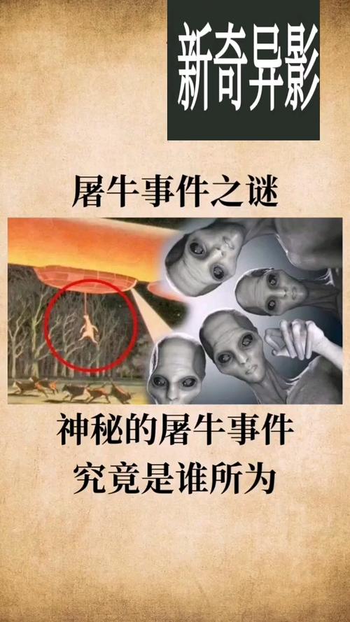 外星人屠牛事件视频？外星人屠羊事件？  第5张