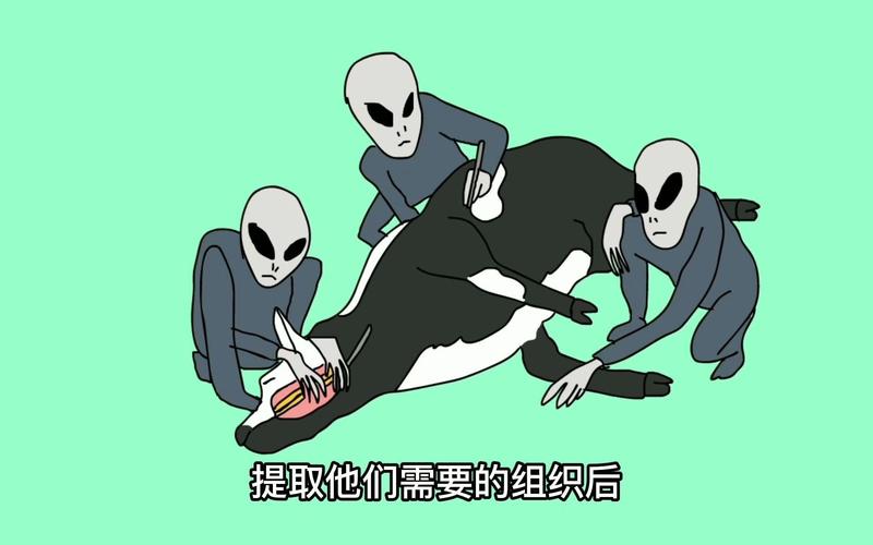 外星人屠牛事件视频？外星人屠羊事件？  第6张