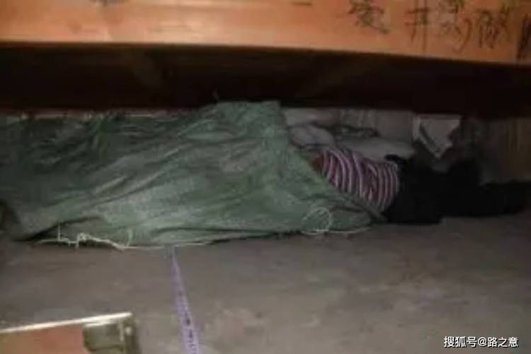 关于南京119碎尸案图片的信息  第1张