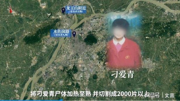 关于南京119碎尸案图片的信息  第5张