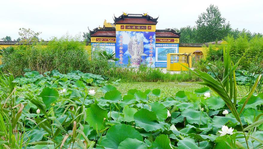 江苏射阳千秋大桥大蛇事件？射阳县千秋大桥建造多少年？  第3张