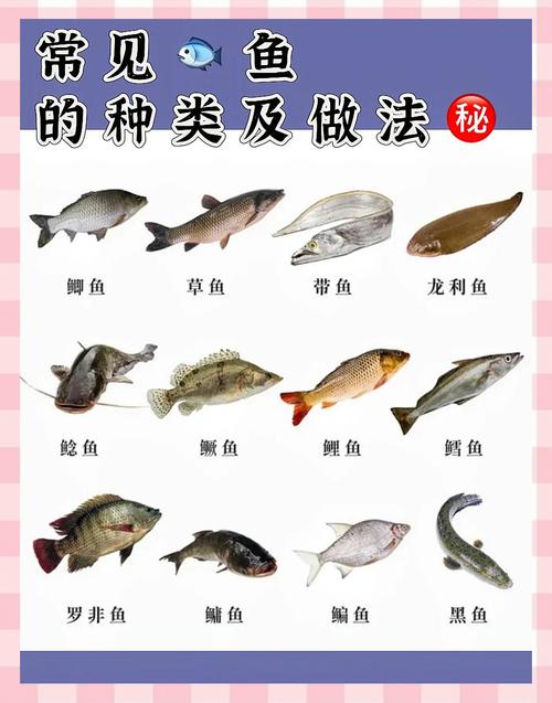 世界上最大的鱼类是什么鱼，请问世界上最大的鱼是什么鱼？  第1张