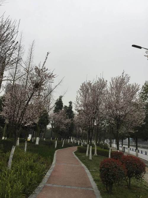 成都郫都区天气情况，中国四川省成都市郫都区天气？  第4张