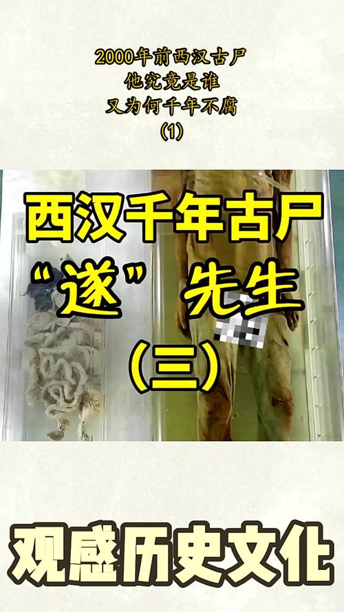 2005年成都僵尸事件，2005成都僵尸事件是真的吗  第1张