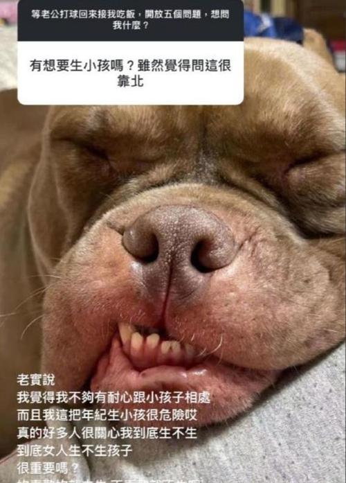 微笑狗真的存在吗?，微笑狗有多可怕？  第2张