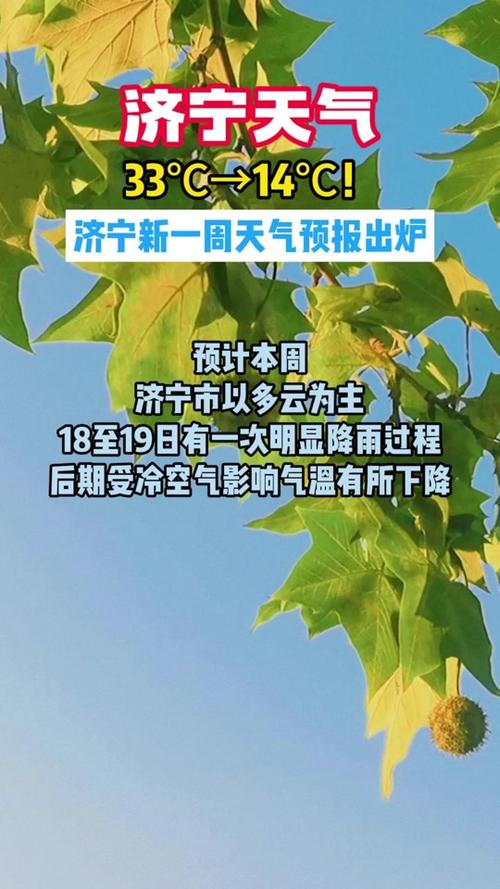 济宁今日天气文字版，今天济宁天气预报  第4张