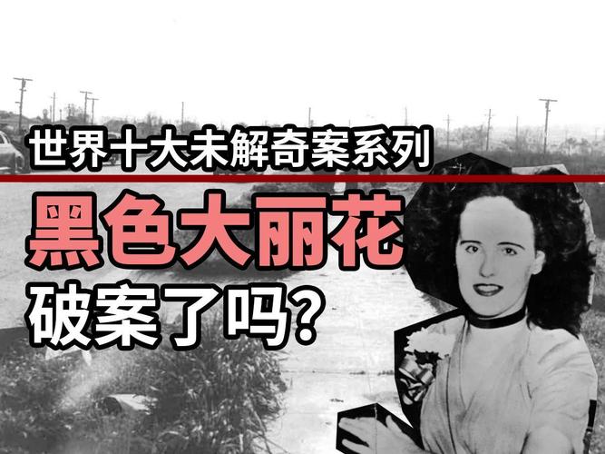 塞西尔酒店黑色大丽花？塞西尔酒店真的有鬼？  第3张