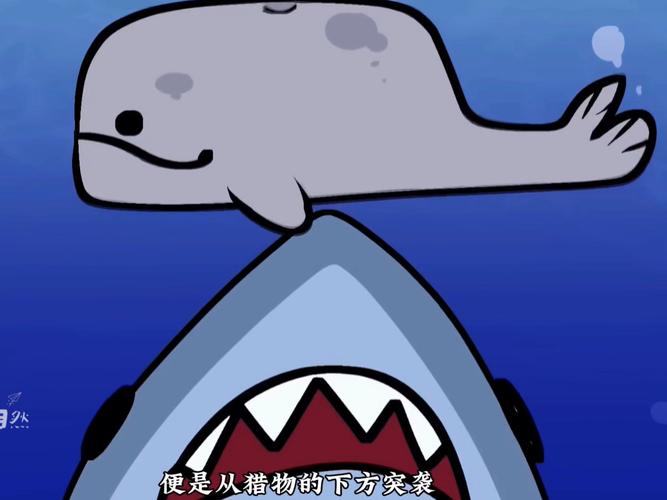 巨齿鲨vs利维坦鲸？巨齿鲨vs利维坦鲸谁会赢？  第2张