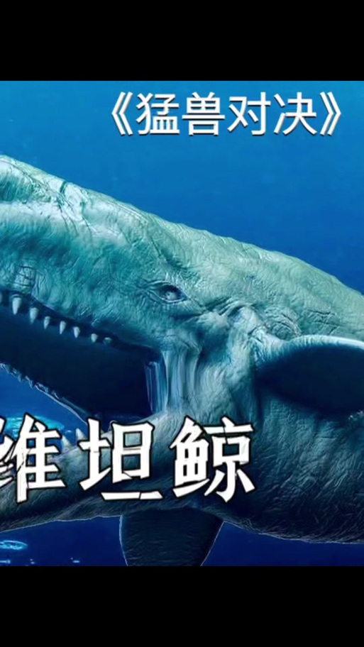 巨齿鲨vs利维坦鲸？巨齿鲨vs利维坦鲸谁会赢？  第3张