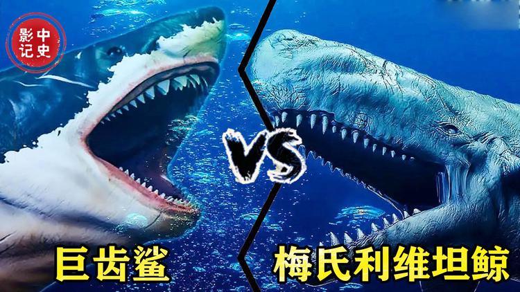 巨齿鲨vs利维坦鲸？巨齿鲨vs利维坦鲸谁会赢？  第5张