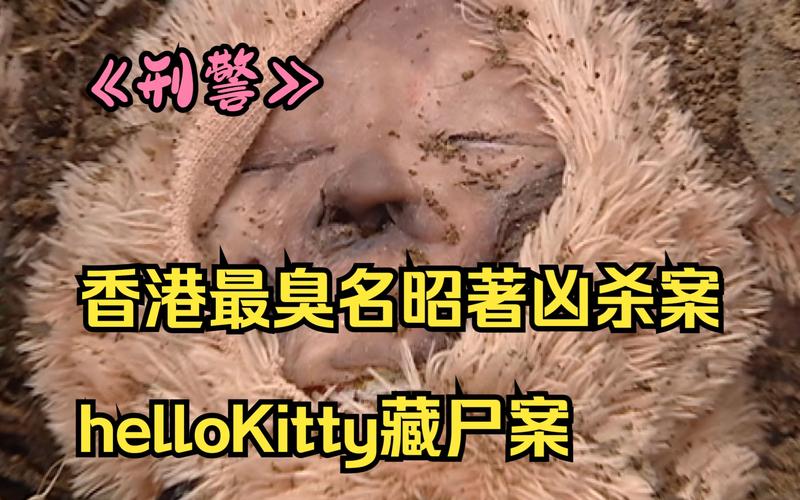 香港前十凶杀案，香港前十凶杀案电视剧  第5张