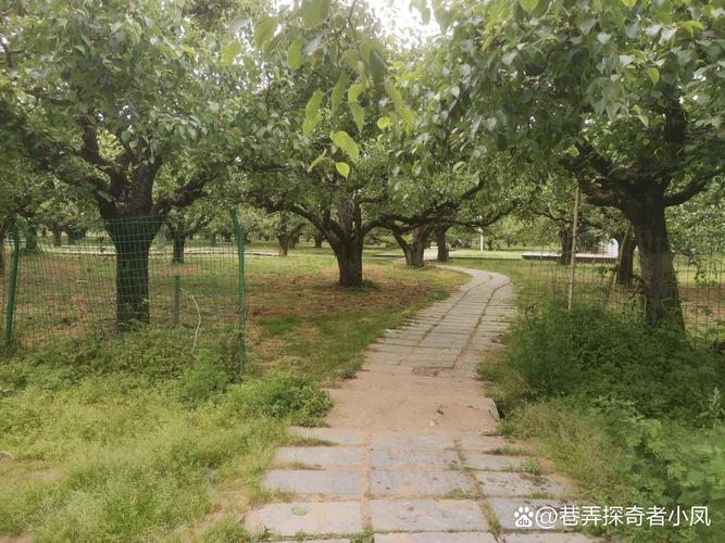 砀山县天气预报下载？砀山县天气预报下载到桌面？  第4张