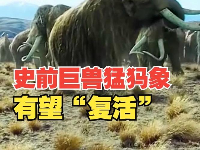 世界上最后一只巨齿鲨，世界上最后一只巨齿鲨在哪个国家？  第2张