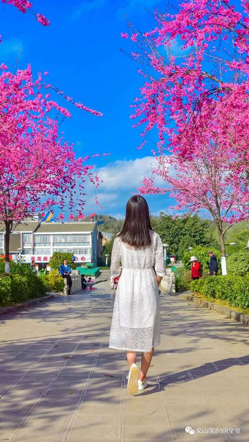 马关县天气预报一周，马关县天气15天？  第4张