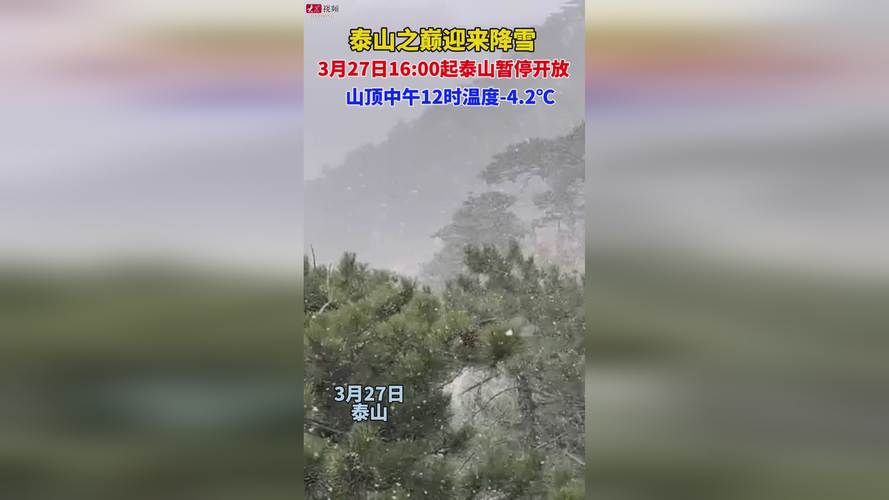 岱岳区天气预报查询？岱岳区天气预报详情？  第1张