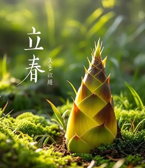 长治2025天气温？长治天气30？  第2张