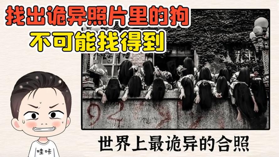 世界上最诡异的四件事？世界上最诡异的四件事图片？  第5张