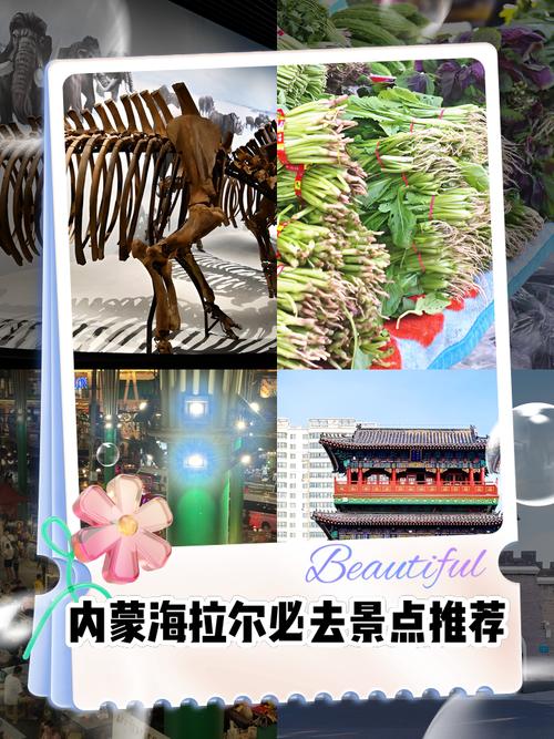 海拉尔7月天气预报，海拉尔7月天气预报查询？  第6张