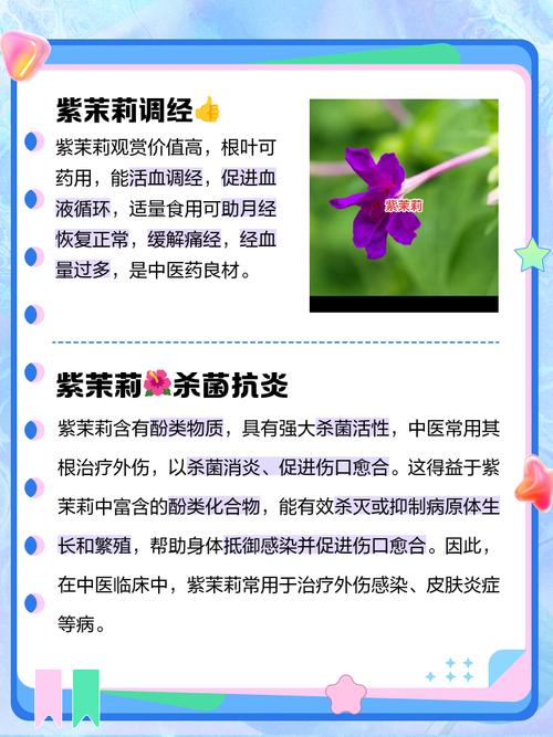 听鬼故事的app，听鬼故事的危害？  第2张