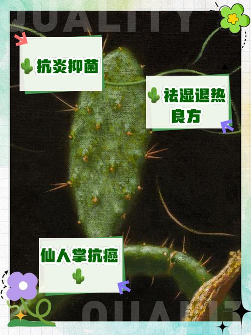 听鬼故事的app，听鬼故事的危害？  第3张