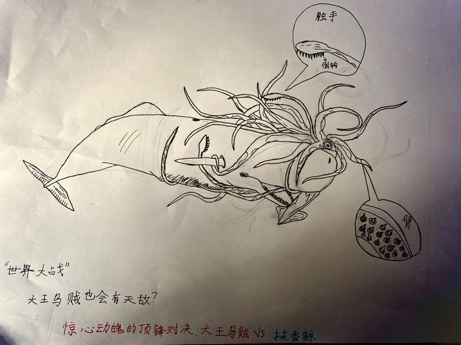 抹香鲸vs大王乌贼电影，我想看抹香鲸和大王乌贼大战  第6张