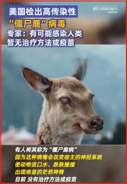 丧尸病毒美国已经有了，美国丧尸病毒爆发是真的吗  第1张