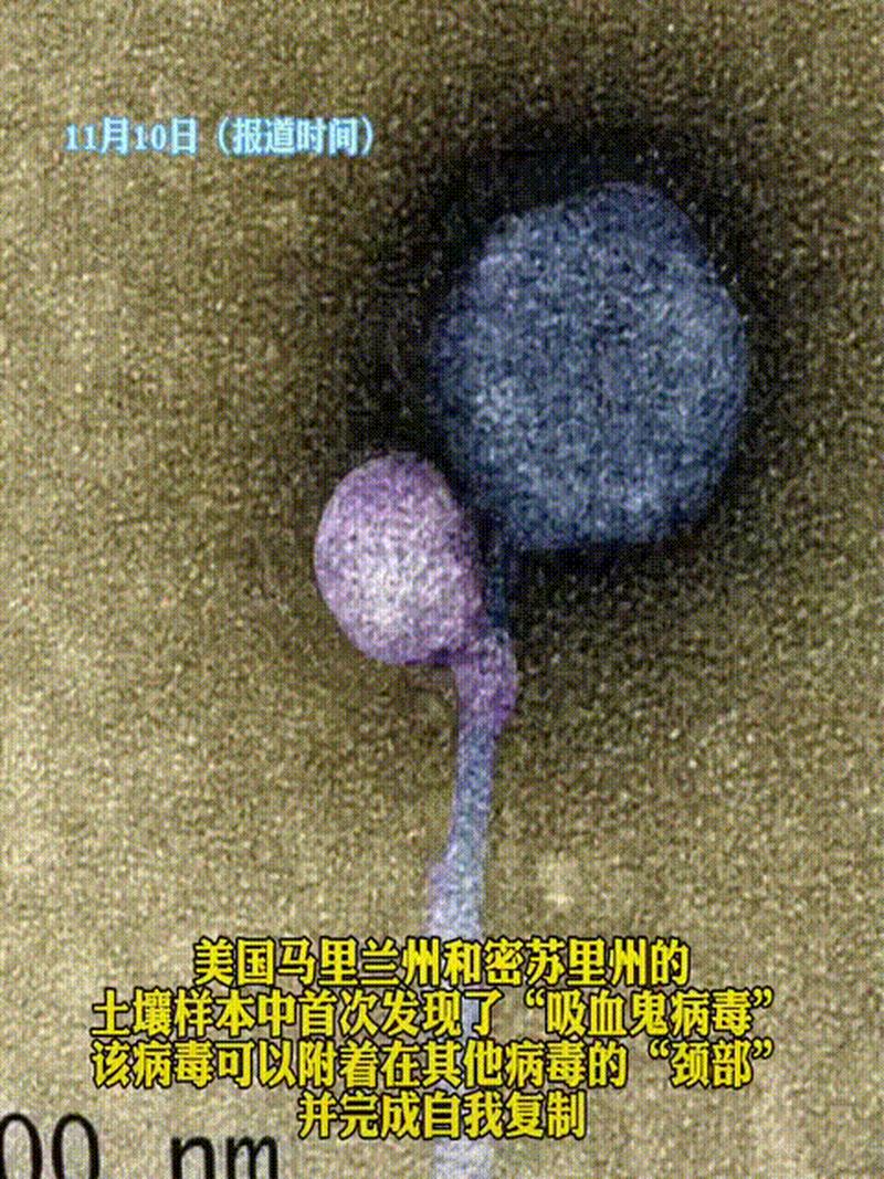 丧尸病毒美国已经有了，美国丧尸病毒爆发是真的吗  第5张