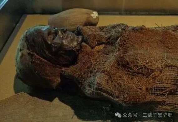 罗步泊双鱼玉佩事件，罗布泊双鱼玉佩现在在哪里  第3张