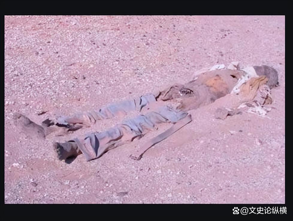 罗步泊双鱼玉佩事件，罗布泊双鱼玉佩现在在哪里  第5张
