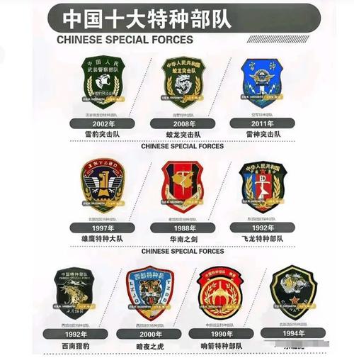 中国比较好的特种部队叫什么，中国的最强特种部队？  第1张