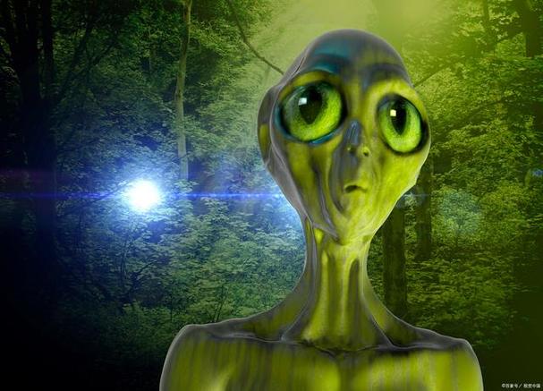 世界外星人网，盘点世界前十外星人存在事件？  第4张