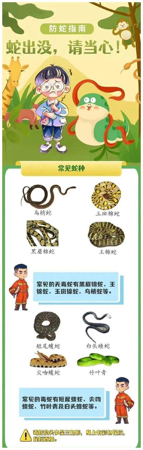 2008沈阳工地挖出大蛇图片？沈阳挖出来大蟒蛇？  第5张