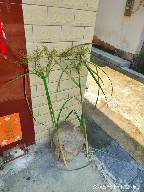 休斯顿一周天气预报，休斯顿一周天气预报15天？  第4张