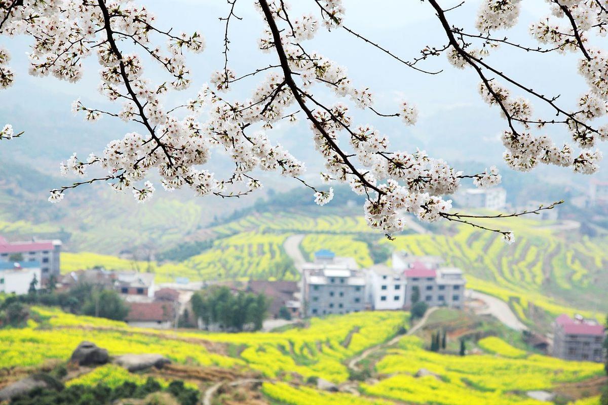 台州天气预报黄岩区，黄岩台州天气预报一周？  第3张