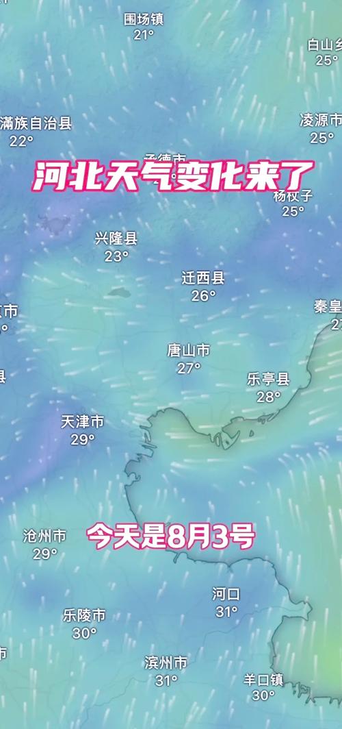 沧州市天气预报十天，沧州市天气15天查询  第5张