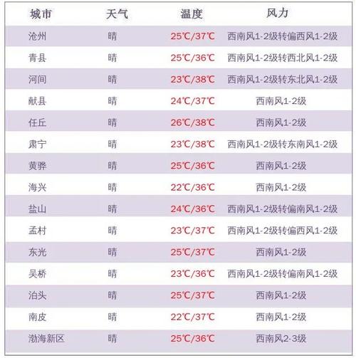 沧州市天气预报十天，沧州市天气15天查询  第6张