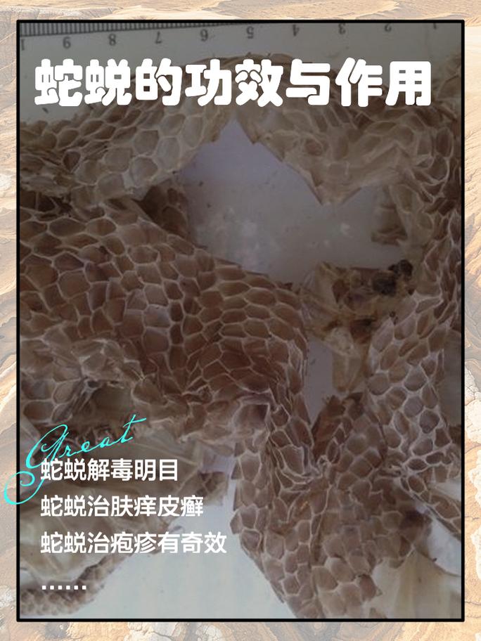 中国八三年蛇灾图片，一九八三年蛇灾？  第3张
