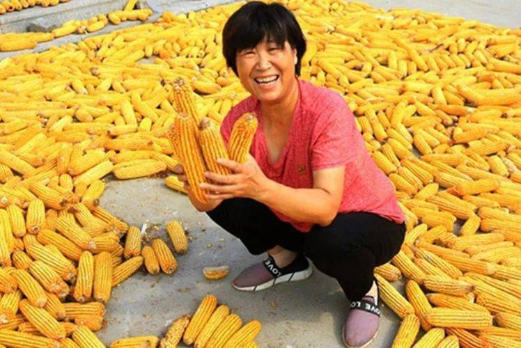 玉米男孩寄生虫照片？玉米男孩到底得了什么病？  第1张