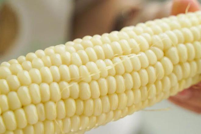 玉米男孩寄生虫照片？玉米男孩到底得了什么病？  第2张