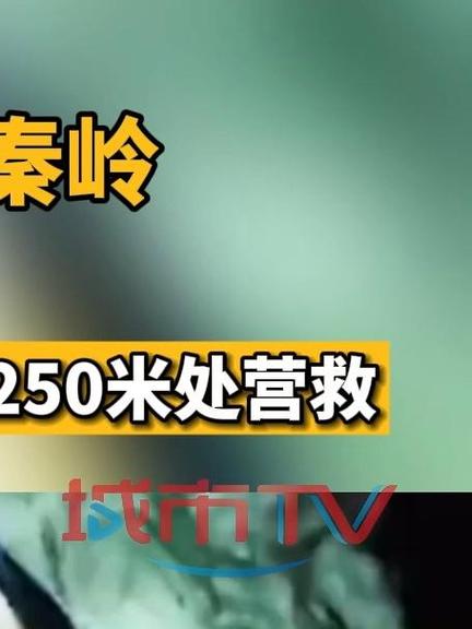 秦岭事件解密，秦岭事件是什么事件？  第5张