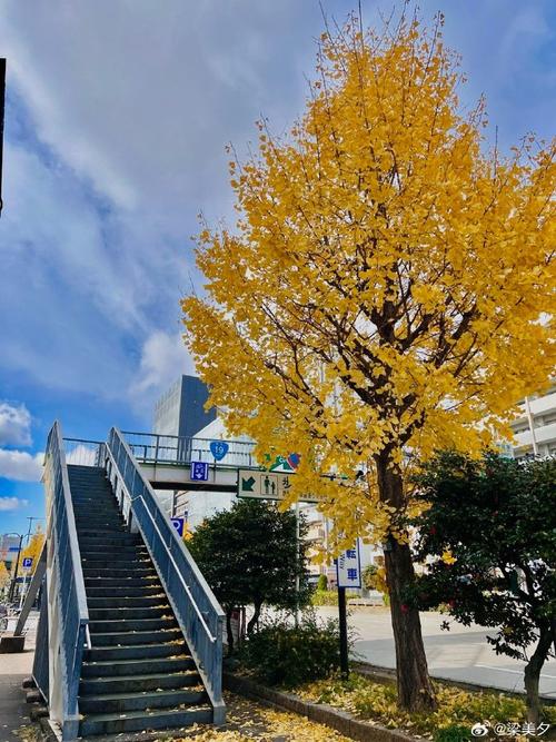 日本名古屋1月天气，日本名古屋1月天气预报？  第3张