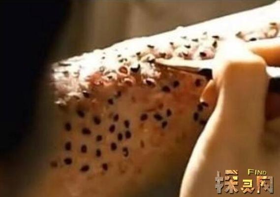 芝麻女孩的故事恐怖？芝麻女孩的原型？  第3张