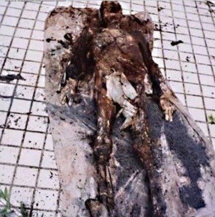 1995年僵尸咬人视频？九五年僵尸咬人？  第3张