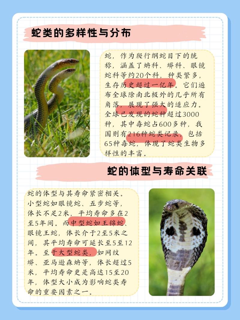 真足蛇的祖先是什么动物，真足蛇有毒吗？  第2张