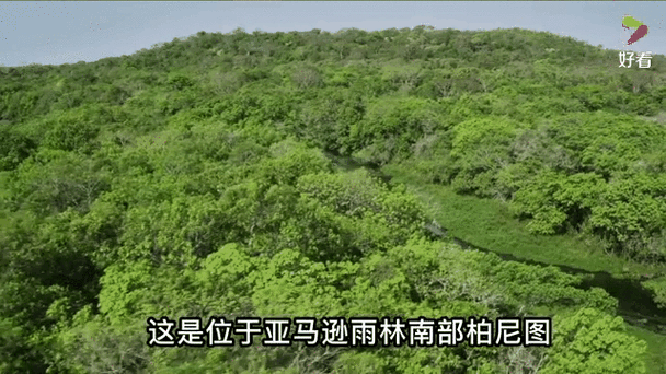 现存世界上最大的蛇，现存世界上最大的蛇有多大  第2张