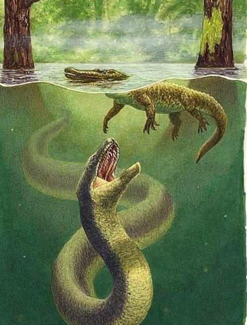现存世界上最大的蛇，现存世界上最大的蛇有多大  第3张